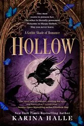 Book cover of Hollow by Brian Catling