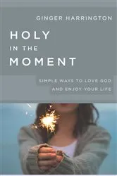 Book cover of Holy in the Moment by Virginia B. Harrington