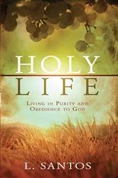 Book cover of Holy Life by L Santos