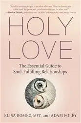 Book cover of Holy Love by Steve Harper