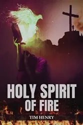 Book cover of Holy Spirit of Fire by Tim Henry