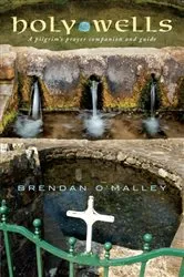 Book cover of Holy Wells by Brendan O'Malley