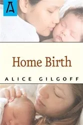 Book cover of Home Birth by Mary L. Nolan