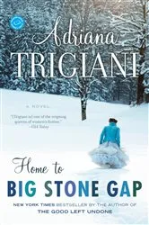 Book cover of Home to Big Stone Gap by Adriana Trigiani