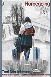 Book cover of Homegoing by N/A