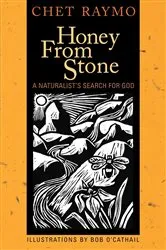 Book cover of Honey from Stone by Chet Raymo
