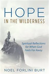 Book cover of Hope in the Wilderness by Noel Forlini Burt