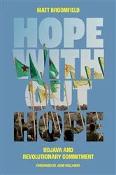 Book cover of Hope Without Hope by Matt Broomfield