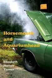Book cover of Horsemouth and Aquariumhead by Elizabeth Horner Turner