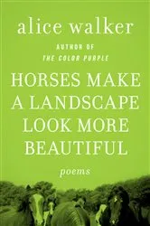 Book cover of Horses Make a Landscape Look More Beautiful by Alice Walker