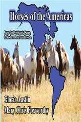 Book cover of Horses of the Americas by Gloria Austin
