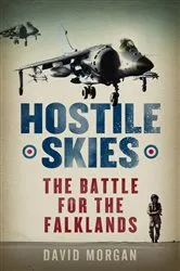 Book cover of Hostile Skies by David Morgan