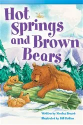 Book cover of Hot Springs and Brown Bears by Nicolas Brasch