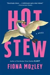 Book cover of Hot Stew by Fiona Mozley