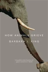 Book cover of How Animals Grieve by Barbara J. King