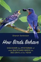Book cover of How Birds Behave by Sharon Sorenson