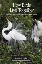 Book cover of How Birds Live Together by Marianne Taylor