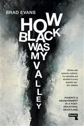 Book cover of How Black Was My Valley by Brad Evans