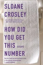 Book cover of How Did You Get This Number by Sloane Crosley