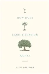 Book cover of How Does Sanctification Work? by David Powlison