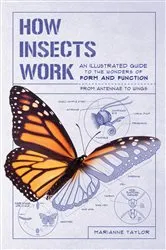 Book cover of How Insects Work by Marianne Taylor