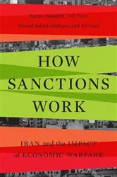 Book cover of How Sanctions Work by Narges Bajoghli