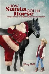 Book cover of How Santa Got His Horse by Unknown