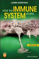 Book cover of How the Immune System Works (6th ed.) by Lauren M. Sompayrac