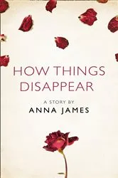 Book cover of How Things Disappear by Anna James