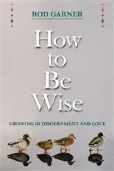 Book cover of How To Be Wise by Rod Garner