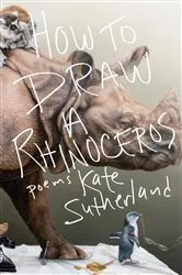 Book cover of How to Draw a Rhinoceros by Kate Sutherland