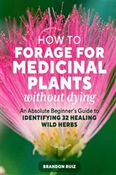 Book cover of How to Forage for Medicinal Plants without Dying by Brandon Ruiz