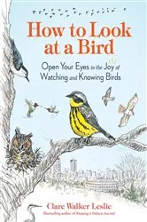 Book cover of How to Look at a Bird by Clare Walker Leslie