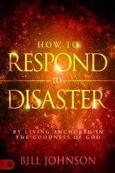 Book cover of How to Respond to Disaster by Bill Johnson