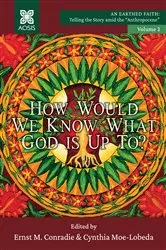 Book cover of How Would we Know what God is up to? by Unknown