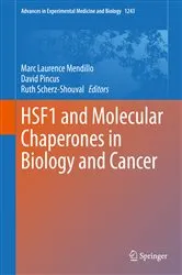 Book cover of HSF1 and Molecular Chaperones in Biology and Cancer by Marc Laurence Mendillo