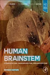 Book cover of Human Brainstem by Paxinos AO (BA, MA, PhD, DSc), FASSA, FAA, George