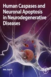 Book cover of Human Caspases and Neuronal Apoptosis in Neurodegenerative Diseases by Unknown