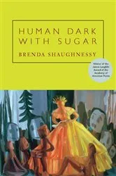 Book cover of Human Dark with Sugar by Brenda Shaughnessy