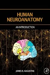 Book cover of Human Neuroanatomy by James R. Augustine
