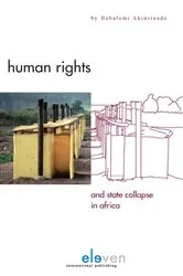 Book cover of Human Rights and State Collapse in Africa by Babafemi Akinrinade