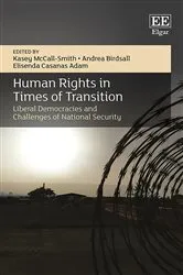 Book cover of Human Rights in Times of Transition by Kasey McCall-Smith