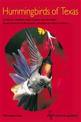 Book cover of Hummingbirds of Texas by Clifford E. Shackelford