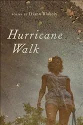Book cover of Hurricane Walk by Diann Blakely