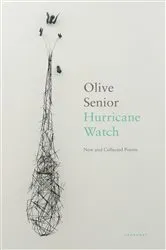 Book cover of Hurricane Watch by Jack Williams
