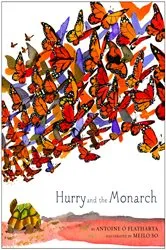 Book cover of Hurry and the Monarch by Antoine O Flatharta
