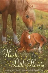 Book cover of Hush, Little Horsie by Jane Yolen