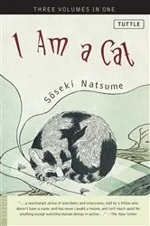 Book cover of I Am a Cat by Galia Bernstein