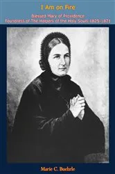 Book cover of I Am on Fire by Marie C. Buehrle
