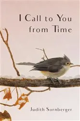 Book cover of I Call to You from Time by Judith Sornberger